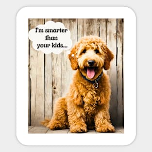 Goldendoodle Smarter Than Your Kids… Sticker